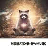 Solfeggio Frequencies 528Hz、Cat Music Therapy、Bruit Blanc - Chutes de la Sérénité