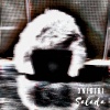 Salada - Shake (Explicit)