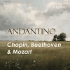 Garrick Ohlsson - No. 1 in C Major. Agitato