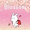 さんうさぎ - 桜の宴とチューリップ