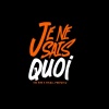 Gee Bag、Micall Parknsun - Je Ne Sais Quoi (Explicit)