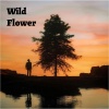 Zest Ore、Anja Schneider、Joris Voorn、Kölsch - Wild flower (feat. Anja Schneider, Joris Voorn & Kölsch)(Explicit)