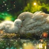 Happy Tunes、Canticuentos - Boat Made Of Dreams
