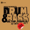 Xian Juan - Bass Star Presents Drum & Bass In The Jungle, Vol. 1 (DJ Mix)