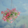 Baltic Nature Sounds、Natural Sounds、Sleep Music Lullabies - REM Map