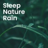Natural Healing Music Zone、Sleep Songs with Nature Sounds、Nature Sounds XLE Library - Whispers of the Forest at Twilight