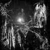 WHITEDOGO、UNDERGROUNDLORD - DEMONIO (feat. UNDERGROUNDLORD)