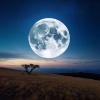Puertas del cielo、Olas del océano para un sueño profundo、Fábrica de sonidos para dormir - Orquesta Nocturna Con Patrones Suaves