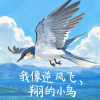 苏瑶 - 我像逆风飞翔的小鸟