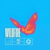 GO RILLA!、Asc3nd - Wildfire (DnB)