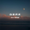 NEIT张羽桐 - 白色月光