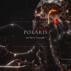 HVDES、Figure - Polaris