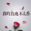 苏瑶 - 我的玫瑰不太香