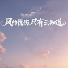 苏瑶 - 风的忧伤只有云知道