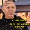 Nicolae Guta - Pentru Inima ta m-am vandut V1