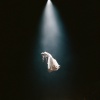 Ariana Grande - intro (end of the world)(Explicit)