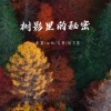 文贺 - 彩虹消失之前