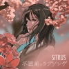 Sitrus - 不器用なラブソング