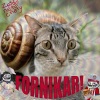 Netu!、Cnety、Zeidu! - Fornikar! (Explicit)