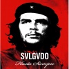 SVLGVDO - Hasta Siempre (Intro Summer Festivals)