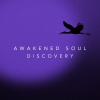 Awakened Soul - Discovery