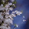 夏宇 - 夜空 Night  Sky