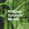 Sounds Of Nature、Nature Sound Series、Nature Sounds Relaxation: Music for Sleep, Meditation, Massage Therapy, Spa - Whispering Trees in the Quiet Forest