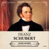 Franz  Schubert、Klaus Reimann - Ave Maria (Ellens Gesang III, D. 839)
