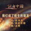 杨环灵磬、王觉 - 我们成了陌生的朋友 (王觉)