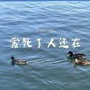 古月、许小辣 - 爱死了人还在