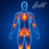Jayson Freedom - Cellular Renewal Frequencies