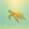 Flower Bear - 水光に浮遊す