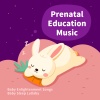 贵族音乐 (Noble Music) - 宝宝哄睡嘘声