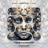Art Of Zync、Stanny Abram - Tribalisim