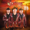 Los Alteños de la Sierra - Ojalá