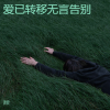孤独旅行 - 爱已转移无言告别