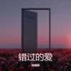 沈知南 - 错过的爱 (烟嗓版)