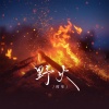 时年 - 野火