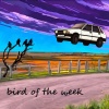 hobo dog records - little bluestem