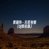 A-Lin - 天若有情 (DJ铁柱版)
