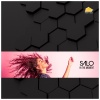 Salo - In the Moment (Radio Edit)