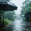 灵魂配乐师 - Rain (纯音乐治愈)
