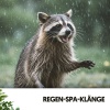 Relajacion、Rain Sounds ACE、Entspannungsmusik - Nachtserenade der Sterne