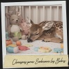 Cat Music Therapy、Sleeping Music、Bébé Sommeil ASMR - Ruhige Echos