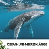 Música Relajante Para Leer、Ocean Sounds FX、Musik für die Arbeit - Fließender Fokus