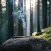 Relaxation Vibes Orchestra、Beautiful Sunset Beach Chillout Music Collection、Rainforest Sounds - Serene Flow