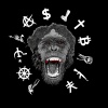 My Name - ****, Man, I Came Here to Rock (Explicit)