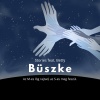 Stories - Büszke .feat Betty