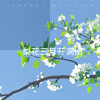李化羽 - 梨花三月开满山