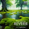 sachin gupta - Raindrop Reverie